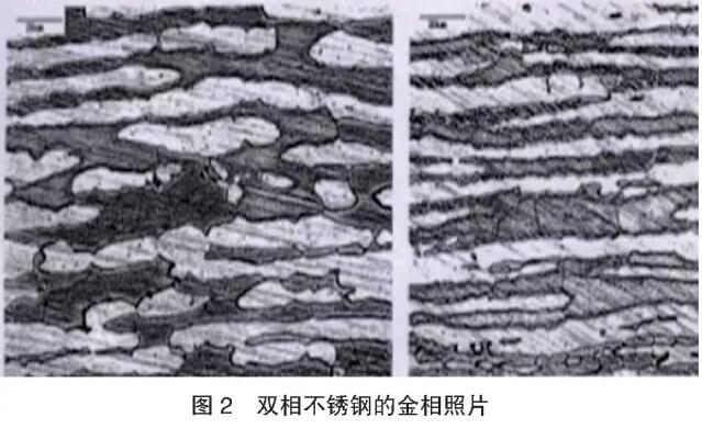 午夜精品久久福利午夜天堂网