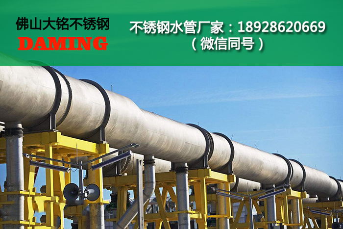 午夜精品久久福利午夜天堂网