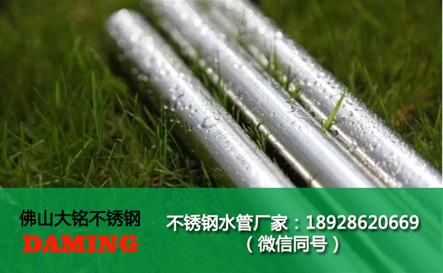 午夜精品久久福利午夜天堂网