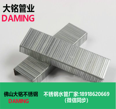 午夜天堂网码钉