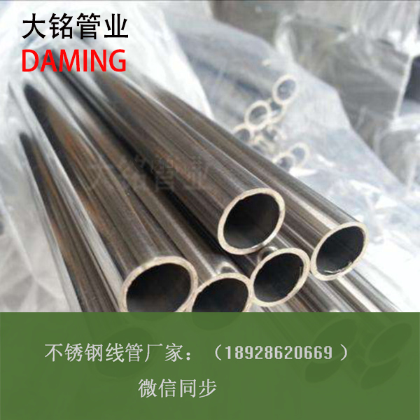 午夜天堂网线管