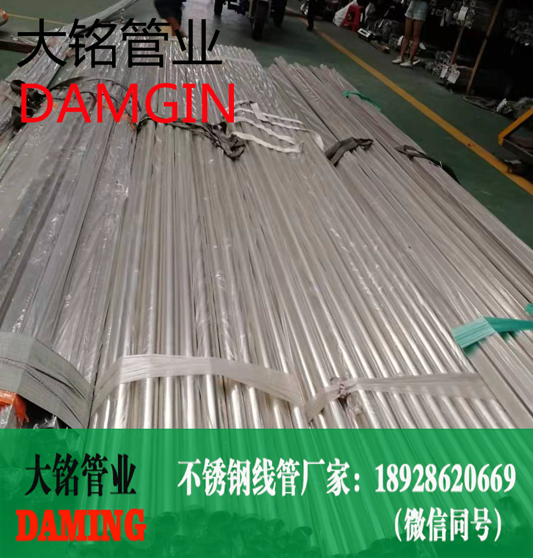 午夜天堂网线管