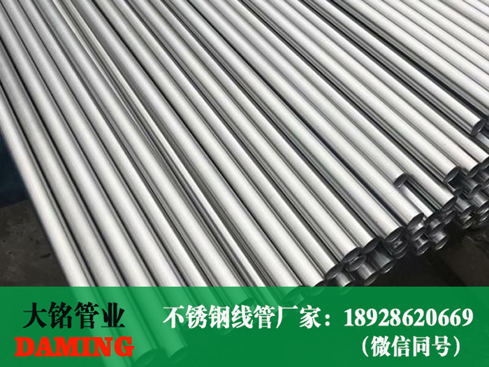 午夜天堂网线管
