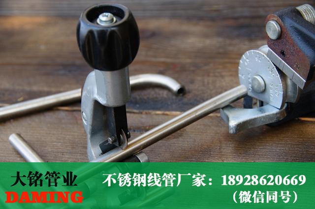 午夜天堂网线管