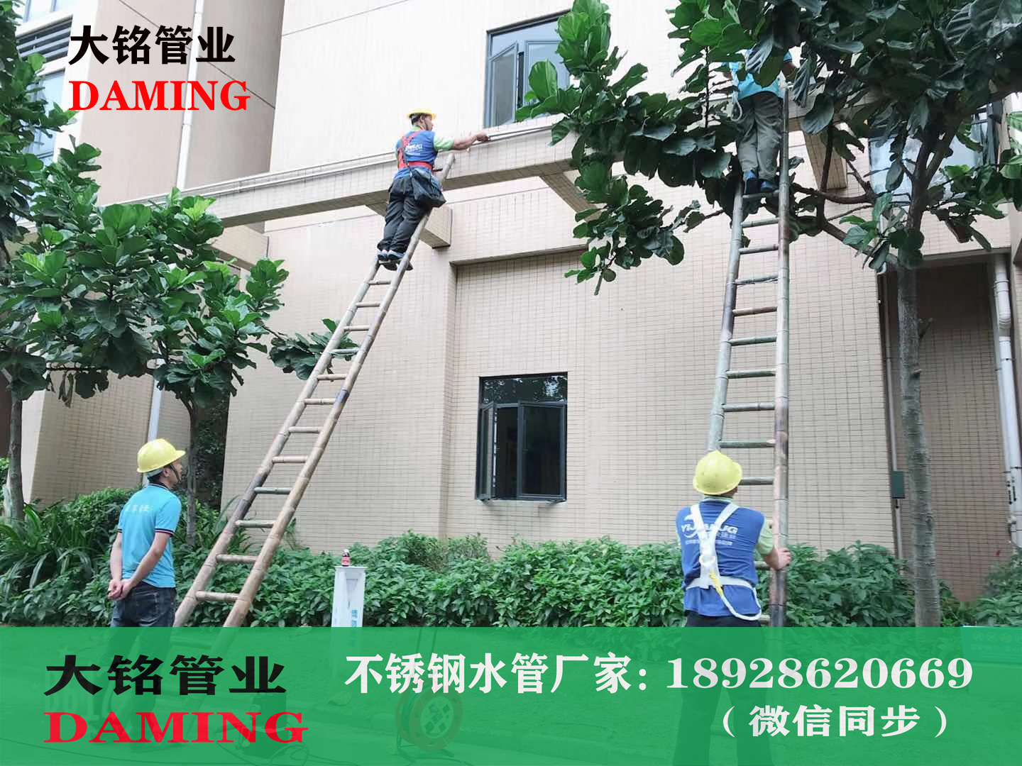 午夜天堂网承插焊午夜影院网站