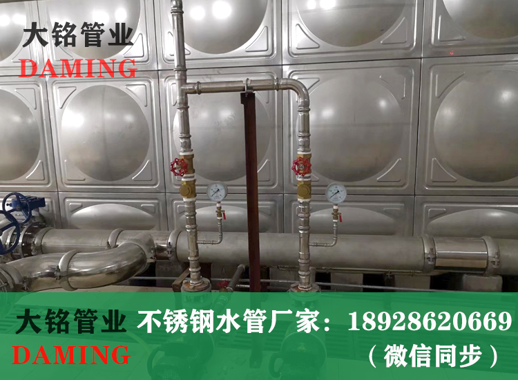 316L薄壁午夜天堂网水管