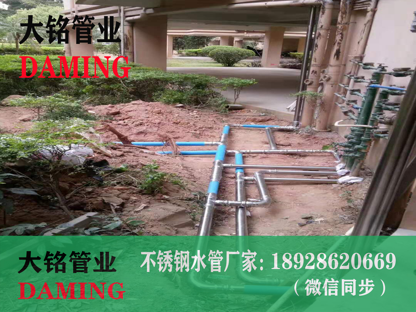  佛山SUS304午夜天堂网卡压弯头dn32