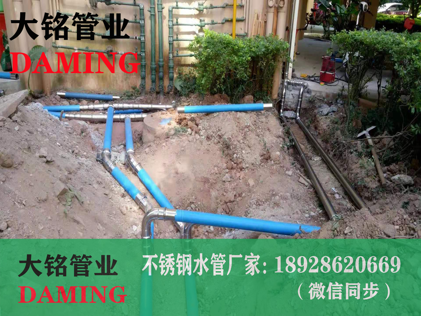 午夜天堂网水管弯头