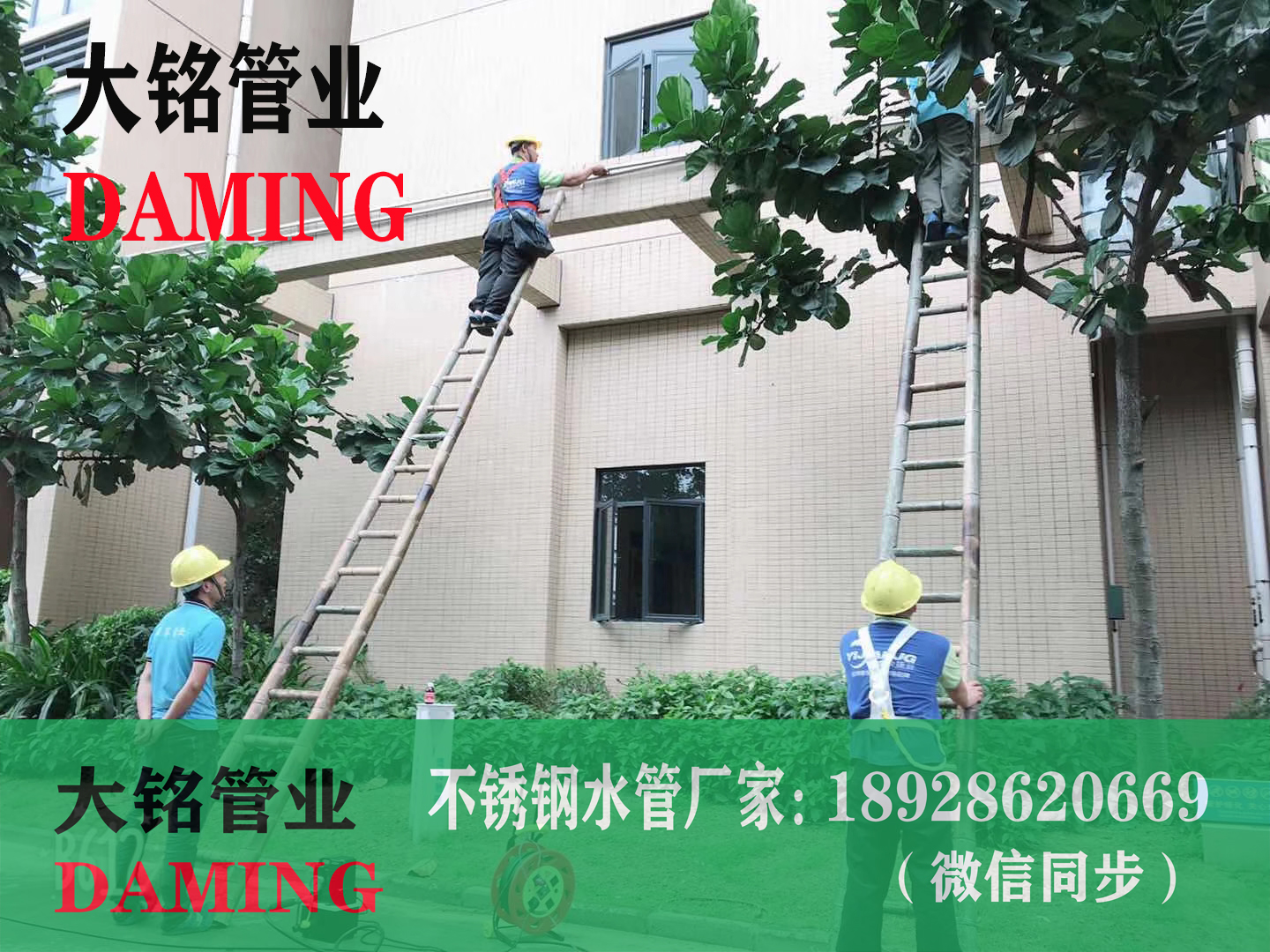 316L午夜天堂网水管